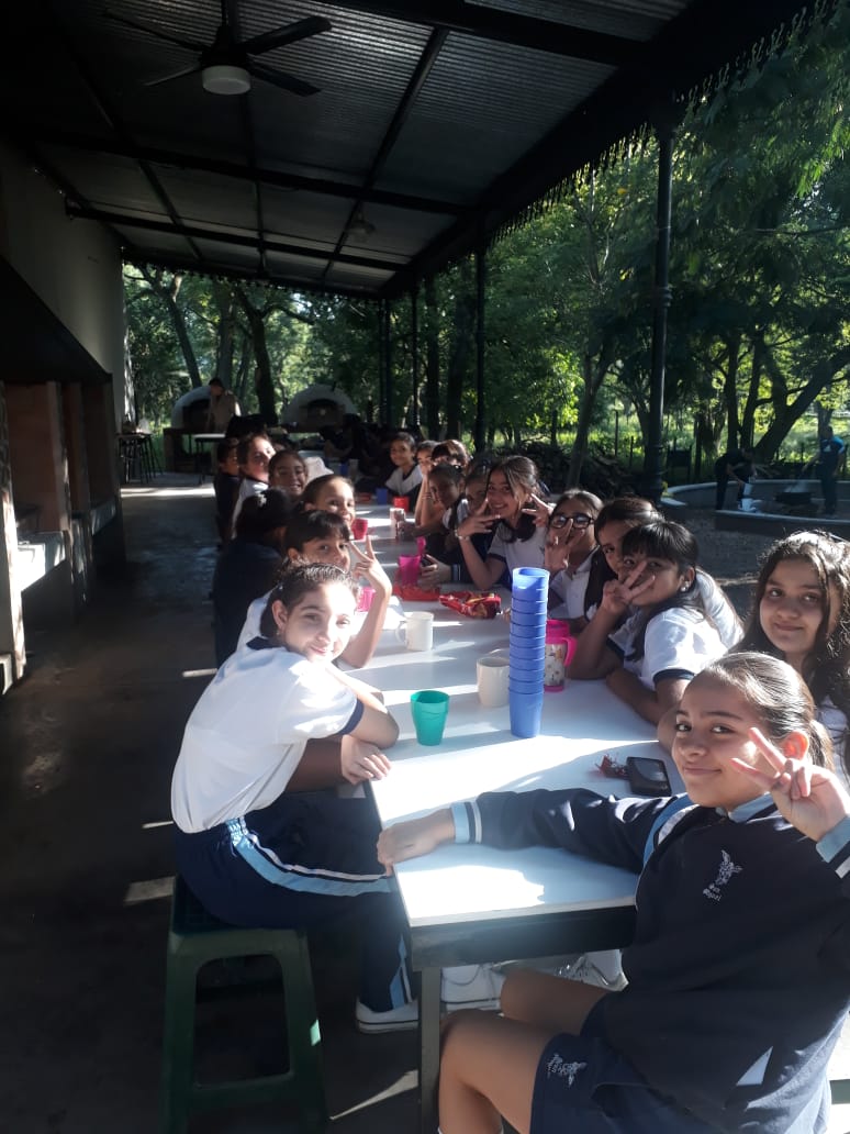 secundario 6